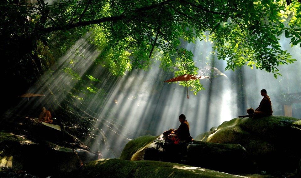 Monks Sittigng in Forest